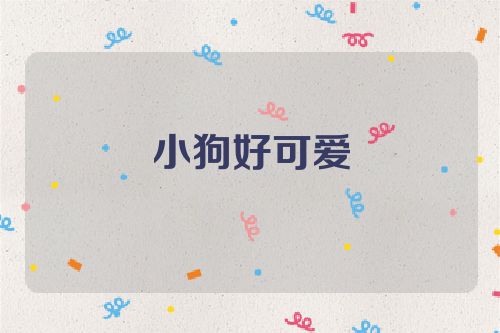 小狗好可爱
