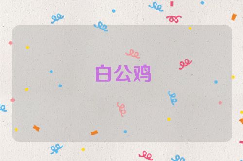 白公鸡