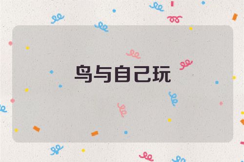 鸟与自己玩