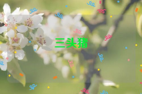 三头猪