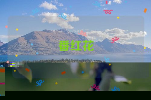 番红花