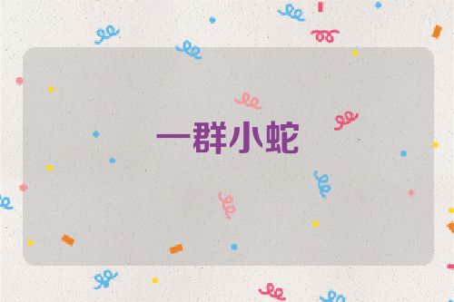 一群小蛇