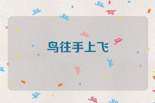 鸟往手上飞