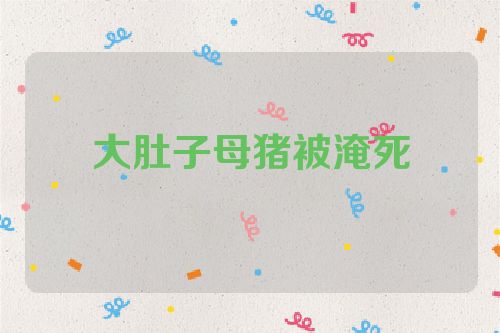 大肚子母猪被淹死
