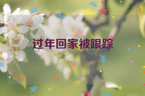过年回家被跟踪