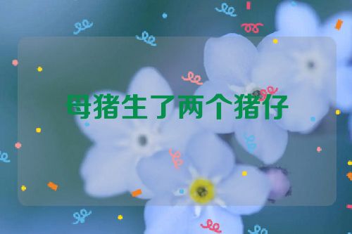 母猪生了两个猪仔