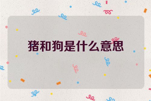 猪和狗是什么意思