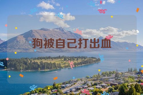 狗被自己打出血