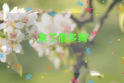 来了很多狗
