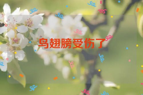 鸟翅膀受伤了