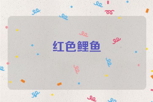 红色鲤鱼
