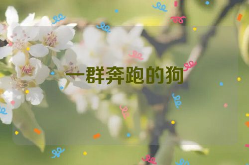 一群奔跑的狗