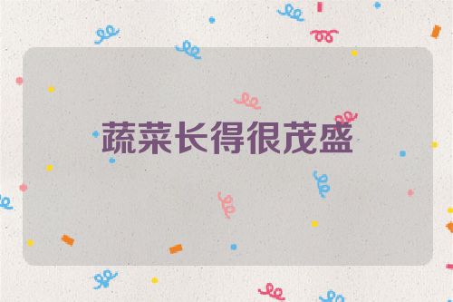 蔬菜长得很茂盛