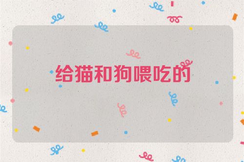 给猫和狗喂吃的