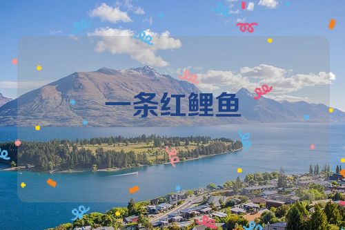 一条红鲤鱼