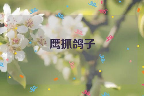 鹰抓鸽子