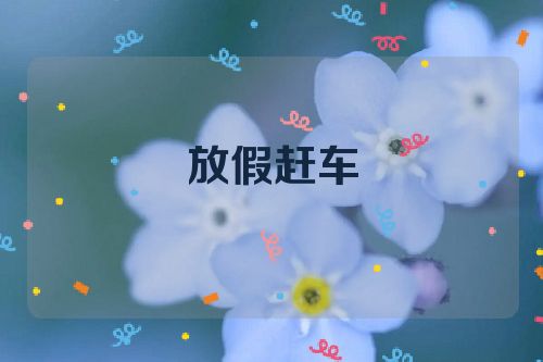 放假赶车