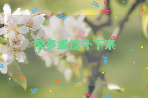 很多蝙蝠扑下来