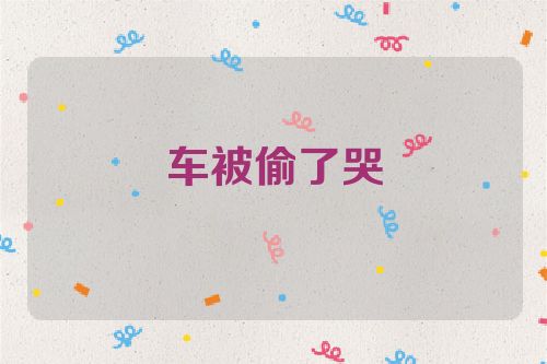 车被偷了哭