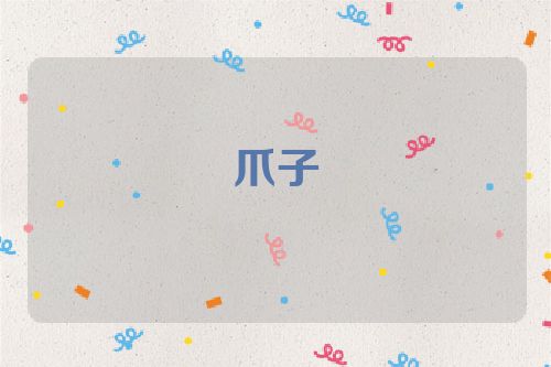 爪子