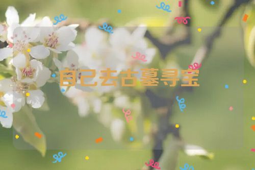 自己去古墓寻宝