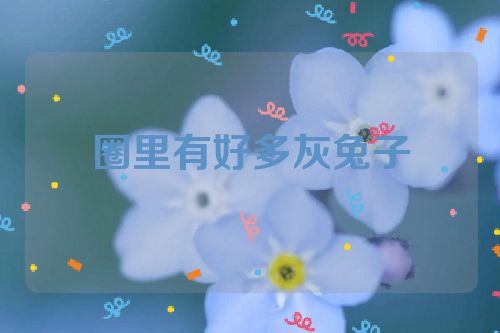 圈里有好多灰兔子