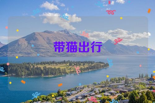 带猫出行