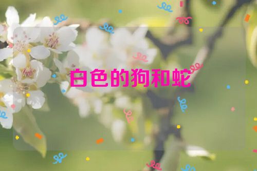 白色的狗和蛇