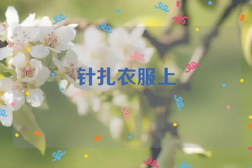 针扎衣服上