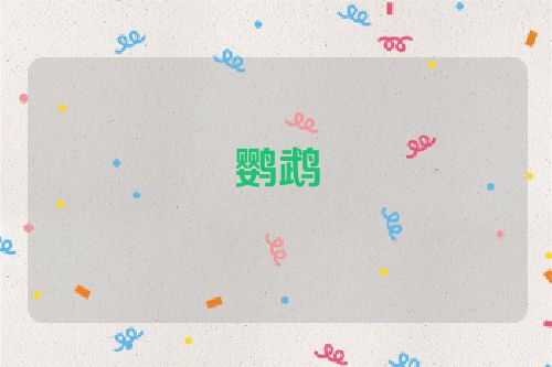 鹦鹉