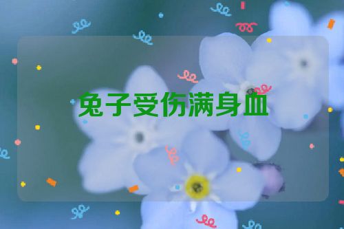 兔子受伤满身血